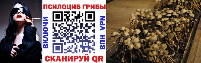 Псилоцибиновые грибы мухоморы  Богородск 